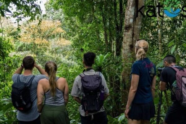 Biosur Hiking tour cropped