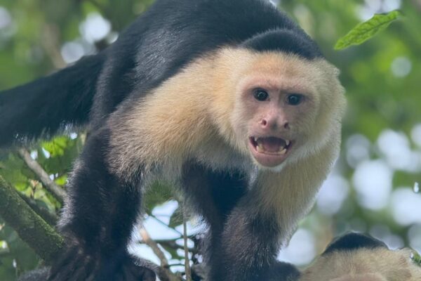 WhatsApp Image 2025-10-20 at 7.09.32 PM (1)