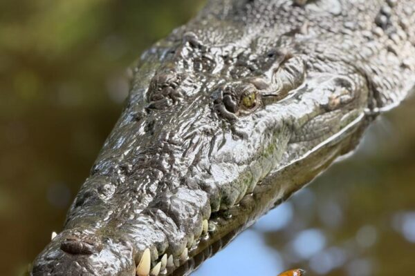 WhatsApp Image 2025-10-20 at 7.09.32 PM