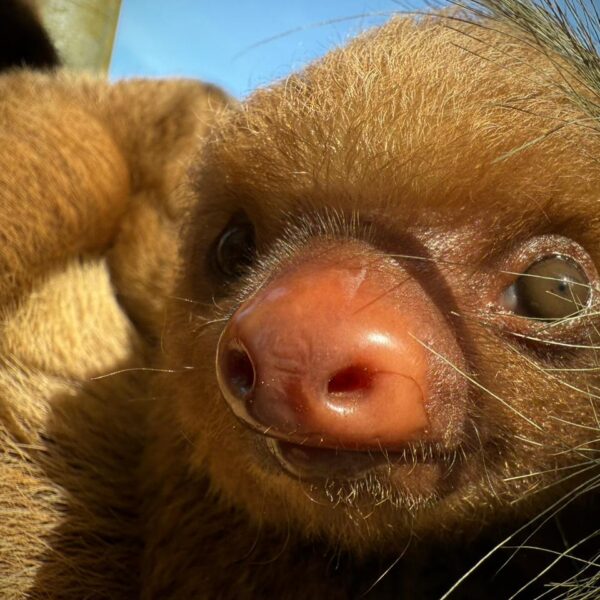 WhatsApp Image 2025-10-20 at 7.09.54 PM