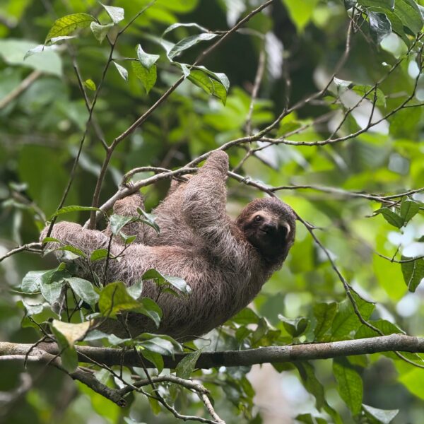 WhatsApp Image 2025-10-23 at 9.41.18 AM